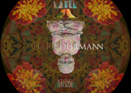 Charl Durmann inside my head pheek mastering | Audioservices.studio