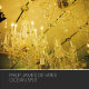 Philip James de Vries Ocean Split pheek mastering | Audioservices.studio