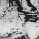 T. Fitzgerald - Natura EP Pheek mastering | Audioservices.studio