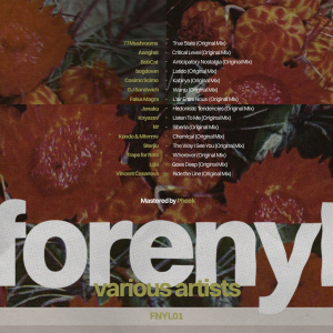 VA - FNYL01 (Forenyl Rec) pheek mastering | Audioservices.studio
